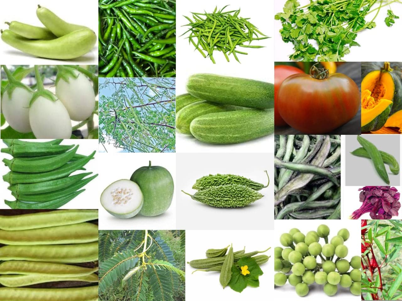 ?????? ??????? ???????/ Tanjore Farmers Vegetable Seeds/country seeds 20 Varieties Of Seeds For Terrace and Kitchen Gardening (B0BSNRMNXS) Amazon Price History, Amazon Price Tracker
