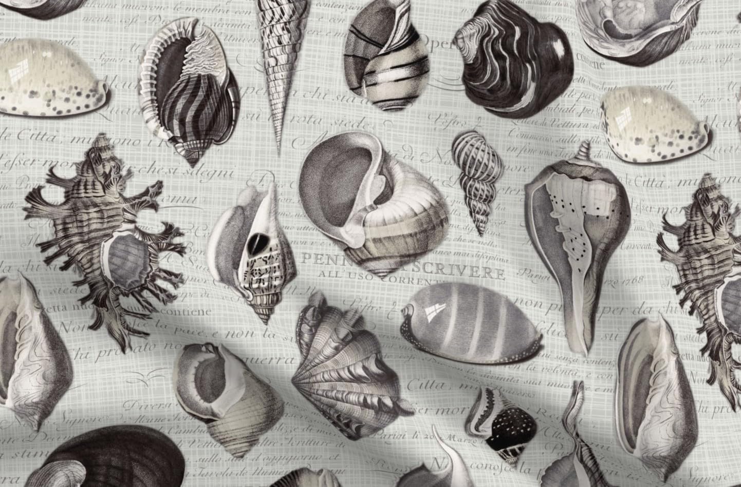 Spoonflower Fabric - Vintage Beach Coastal Marine Nautical Ammonite Shell Fossil Print Printed on Petal Cotton Fabric Fat Quarter - Sewing Quilting Apparel Crafts Decor