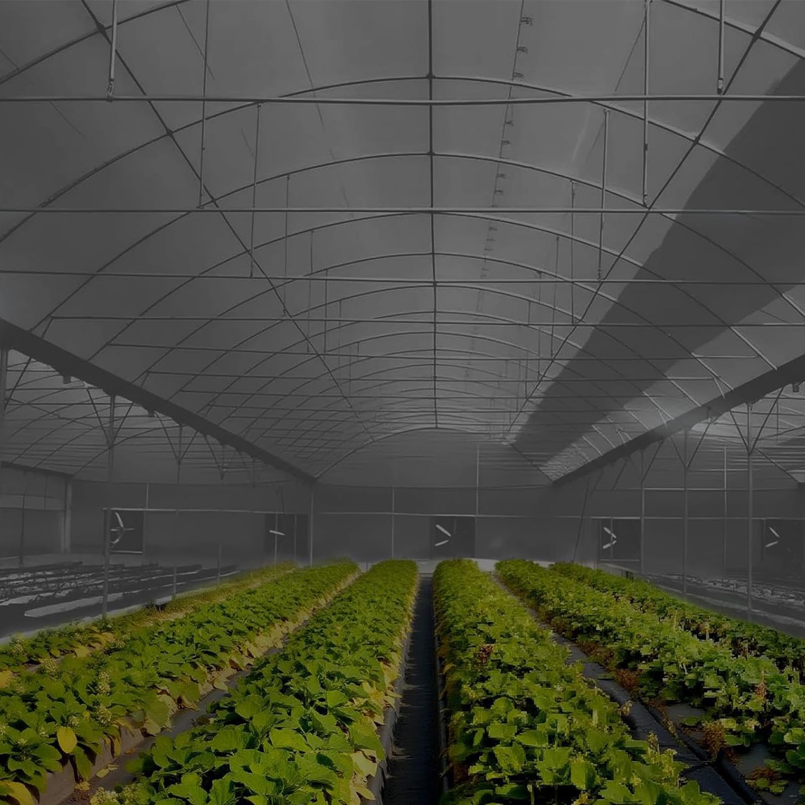 Rivestimento per stagno in PE rinforzato resistente per stagni all'aperto per pesci e anatre, aiuole rialzate e caratteristiche idriche resistenti impermeabili