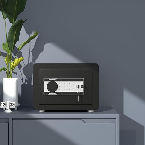Miniatura 8 de Reemoon Caja de seguridad de acero con bloqueo de teclado electrónico, 0.8 pies cúbicos, caja fuerte para el hogar para dinero seguro, joyas,