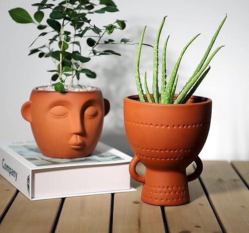 Miniatura 4 de Dheureka Macetas pequeñas de terracota para plantas de interior, macetas suculentas con drenaje, 4.75 pulgadas, 4 pulgadas, 2.75 pulgadas, macetas