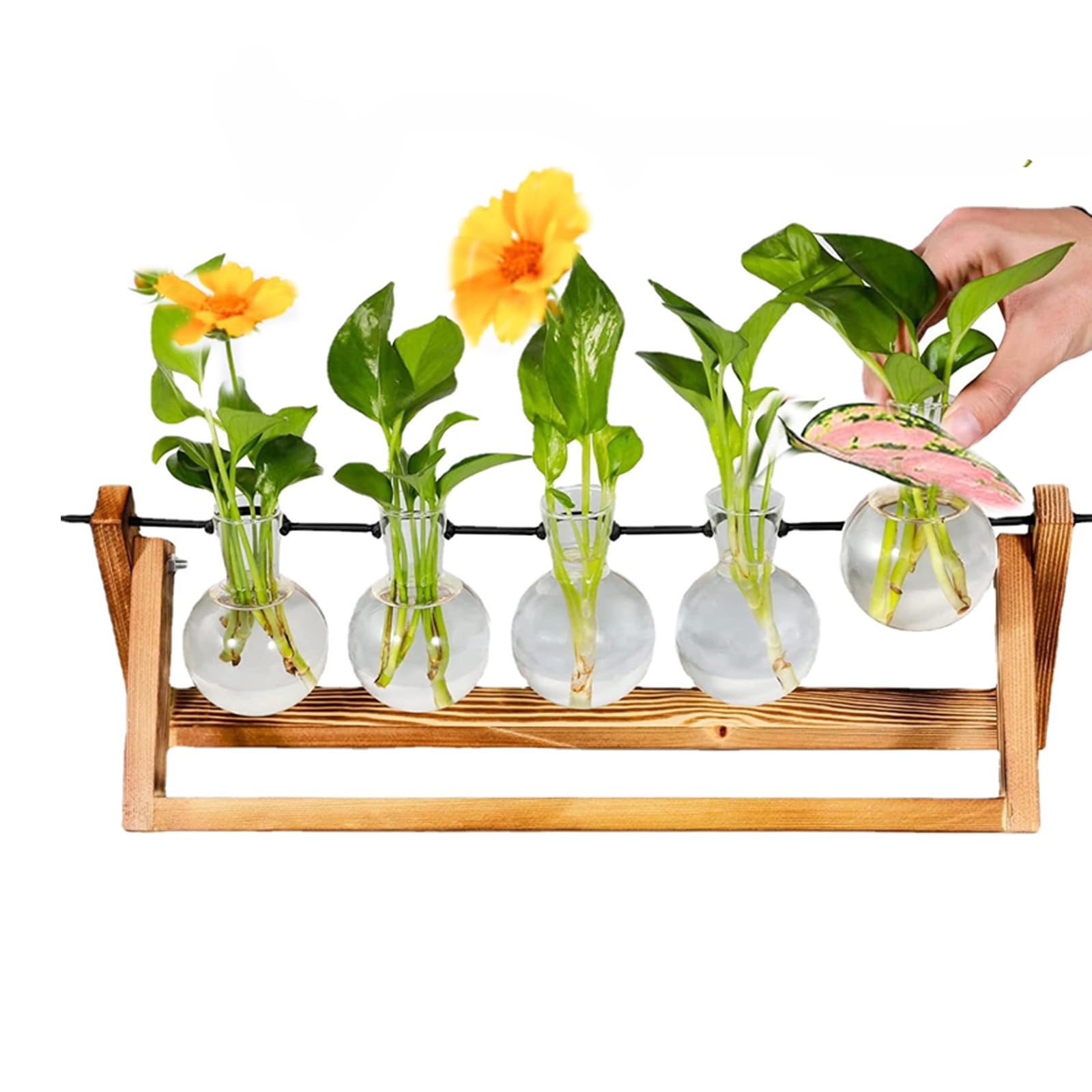 Glass Planter Station with Wooden Stand - Innjoii Desktop Plant Propagation Terrarium with 5 Bulbs Vases Retro Solid for Propagating Hydroponic Plants Wedding Centerpiece Office Home Decor (upgrate) — image 1