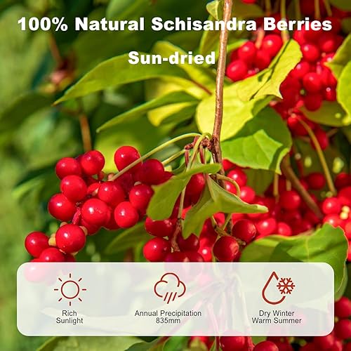Miniatura 2 de Nature Schisandra Berry Dried - Té de bayas de Schisandra de montaña ChangbaiWu Wei ZiFruta de cinco sabores - Sin aditivos y sin OMG - 4 oz  113 g