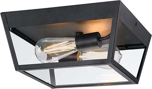 Westinghouse 6121900 Peterson - Lámpara de techo transitoria con dos luces, acabado negro texturizado, cristal transparente