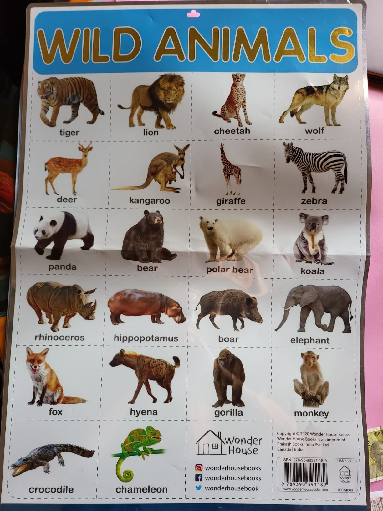 Buy Wild Animals - My First Early Learning Wall Chart: For Preschool ...