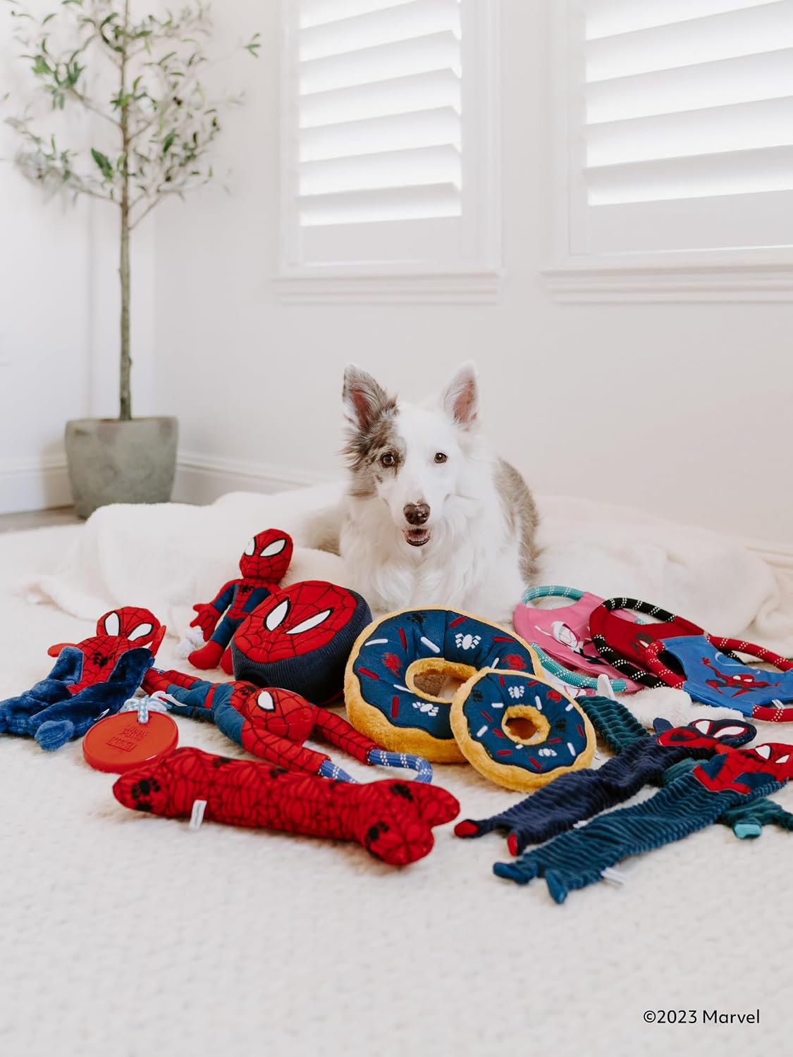 ZippyPaws Marvel Donutz - Interactive Donut Pet Toys for Dogs & Puppies, No Stuffing, Durable Squeaky Toy for Small & Medium Breed - Spider-Man image 4