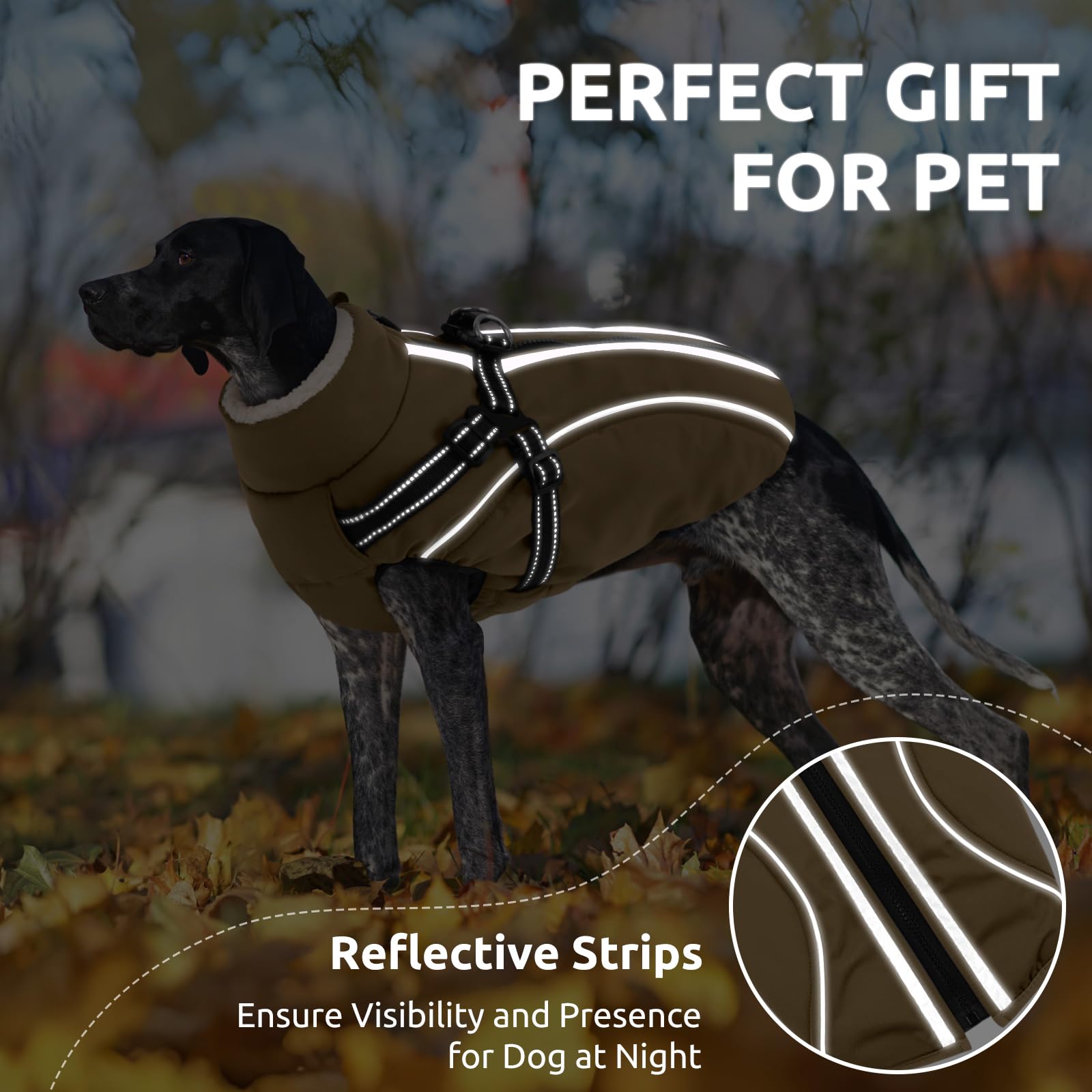 CITÉTOILE Manteau Imperméable pour Chien avec Doublure Polaire, Réflecteur, Harnais, Col Chaud, Brun, S