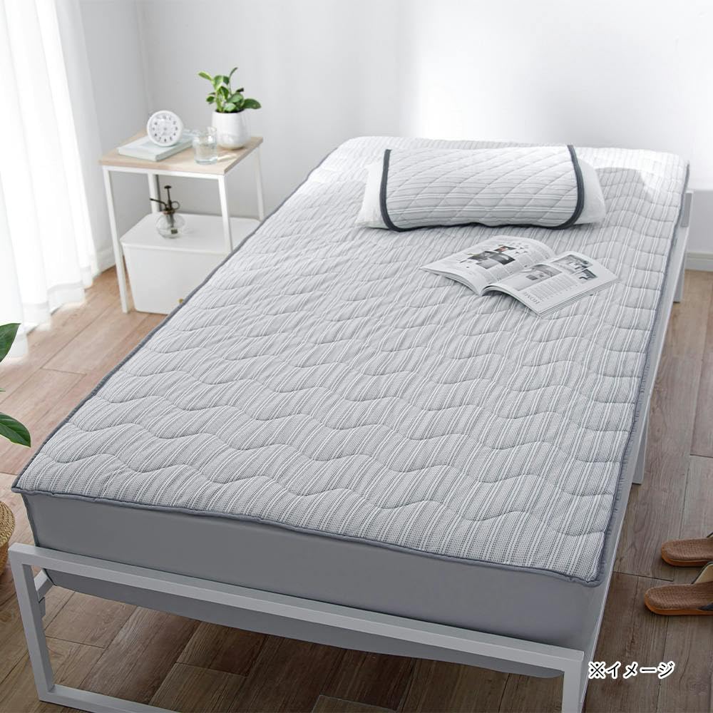 Amazon｜カインズ(CAINZ) 【2024春夏】両面使えるもっとひんやりBOX