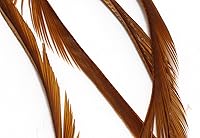 Vista 10 de Hareline Fly Tying Stripped Goose Biots – Natural Goose Biots for Fly Tying Nymph Bodies, Tails & Wings