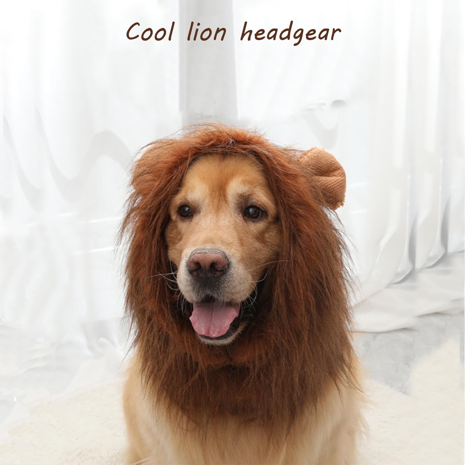 Cane Travestimento Da Leone Costumi Di Carnevale Per Cani Parrucca