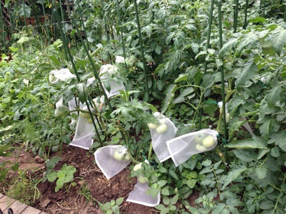 Flash Deals - 40% OFF Joyful Store Garden Plant Fruit Protect Drawstring Net Bag Insects Mosquito Bug Net Barrier Bag Mesh Against Insect Pest Bird for Protecting Your Plant Fruits Flower(50pcs) (9.8 x 5.9) Exclusive Discount 90% Price Joyful Store Garden Plant Fruit Protect Drawstring Net Bag Insects Mosquito Bug Net Barrier Bag Mesh Against Insect Pest Bird for Protecting Your Plant Fruits Flower(50pcs) (9.8 x 5.9)