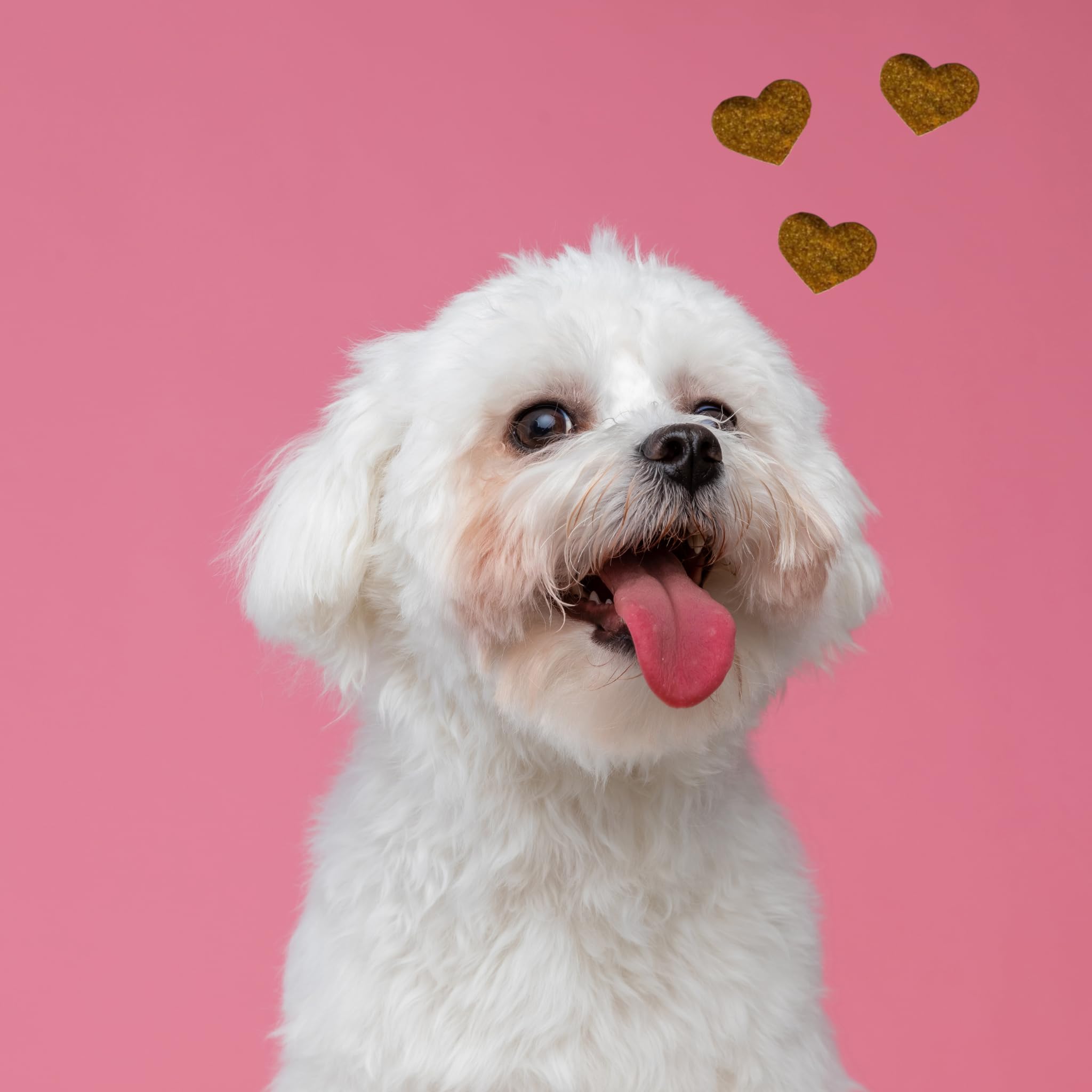 BESTI - 8 en 1 | 120 Compléments Alimentaires Premium Multi-Vit pour Chiens | Vitalité, Probiotiques, Articulations, Pelage, Coeur, Cerveau | Marque Française - Formule Vétérinaire | Au Poulet | 300gr