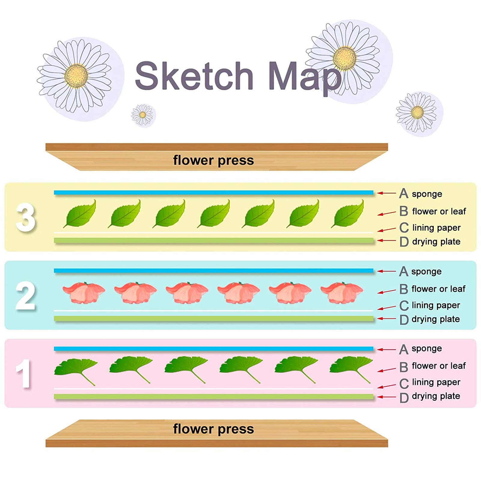 WANDIC Kit de presse à fleurs en bois épais - Kit de presse à feuilles pour loisirs créatifs, spécimens d'apprentissage en plein air