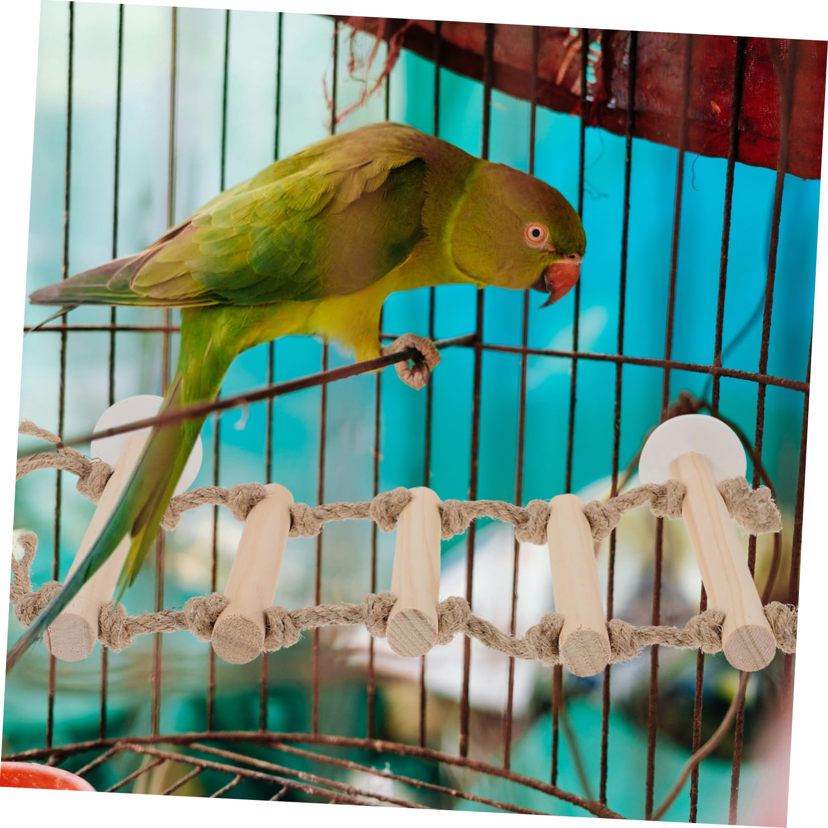 GRIRIW Wooden Bird Ladder Toy for Parrots Multi-Layer Climbing Toy Parakeet Climbing Stand Bird Cage Accessory