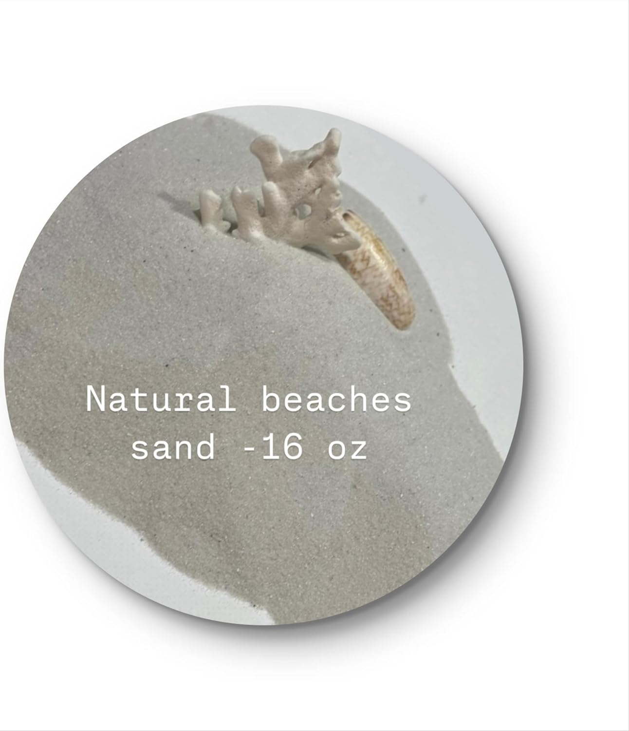 Beach Sand (16 oz/1 LB) and 2 Gift Bottles. Florida Sand, Coastal Décor, Beach Gift, Wedding Favors, Sea Souvenir, Natural.