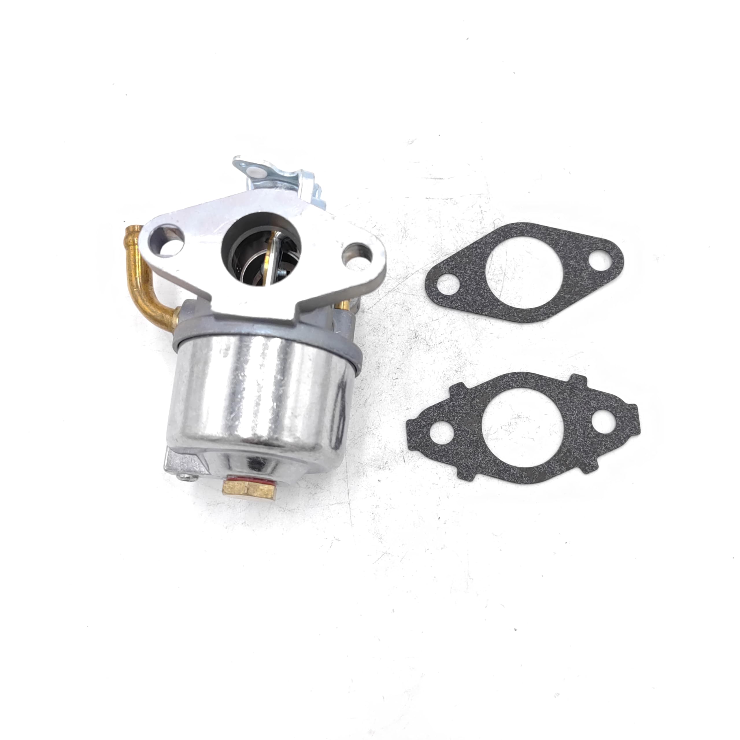 Carkio Vergaser Mit Dichtungen - Ersatz Für Briggs & Stratton Rasenmäher Motoren