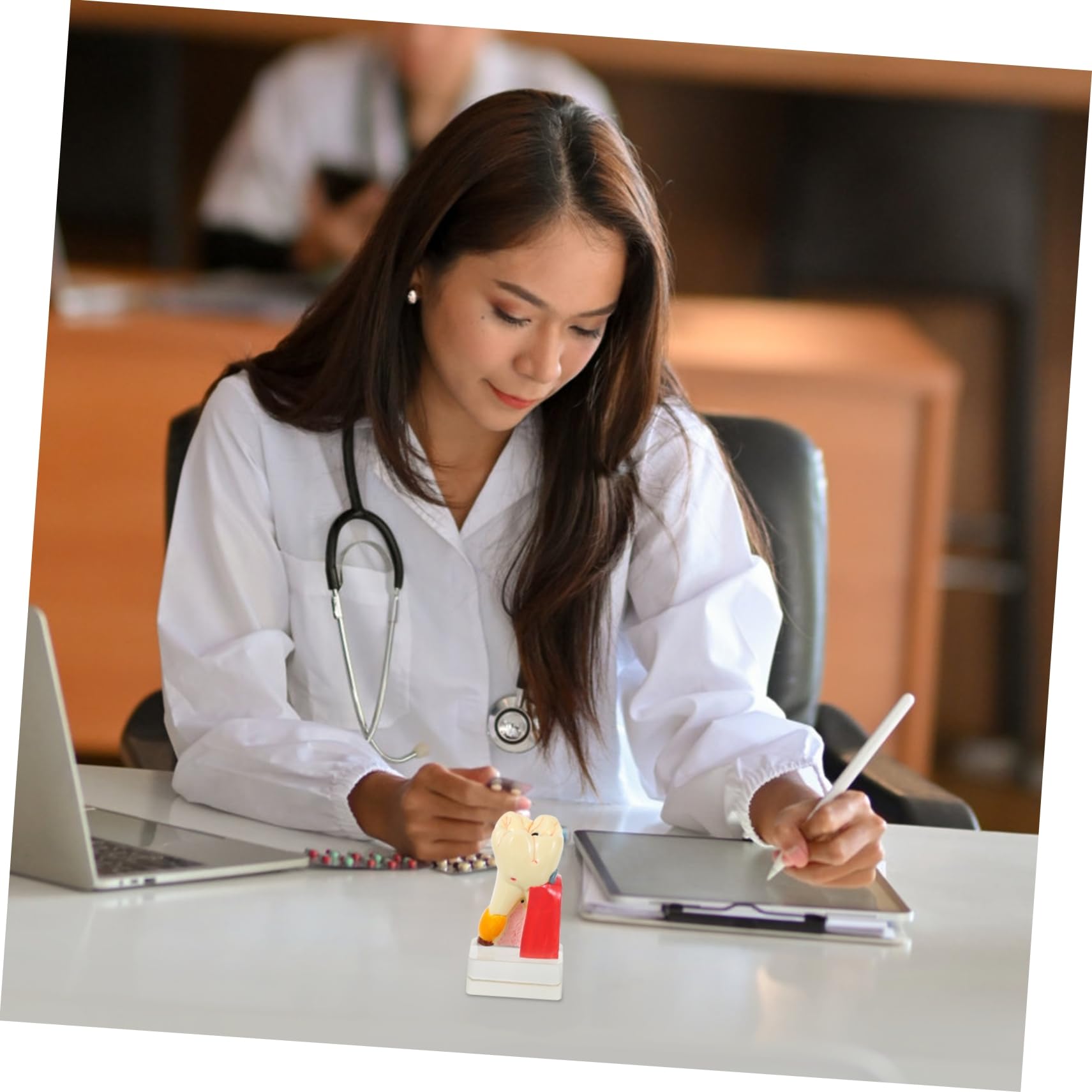 Modello Anatomico del Dente 4x per Carie, Resina, Didattico | Beige, per Dimostrazione e Insegnamento Odontoiatrico, Formato Compatto per Studio e Spiegazione