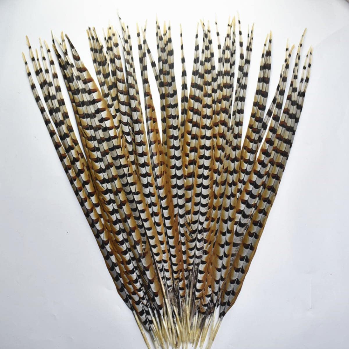 Piume di coda di fagiano lunghe 10-180 cm naturali per artigianato piume di fagiano decorazione accessori di carnevale-160-170 cm 163-172,7 cm, 10 pezzi