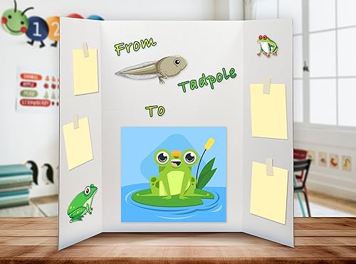 Miniatura 7 de Desk Tech Tablero de presentación grande de tres pliegues, 36 x 48 pulgadas, papel corrugado resistente, blanco, perfecto para proyectos escolares,