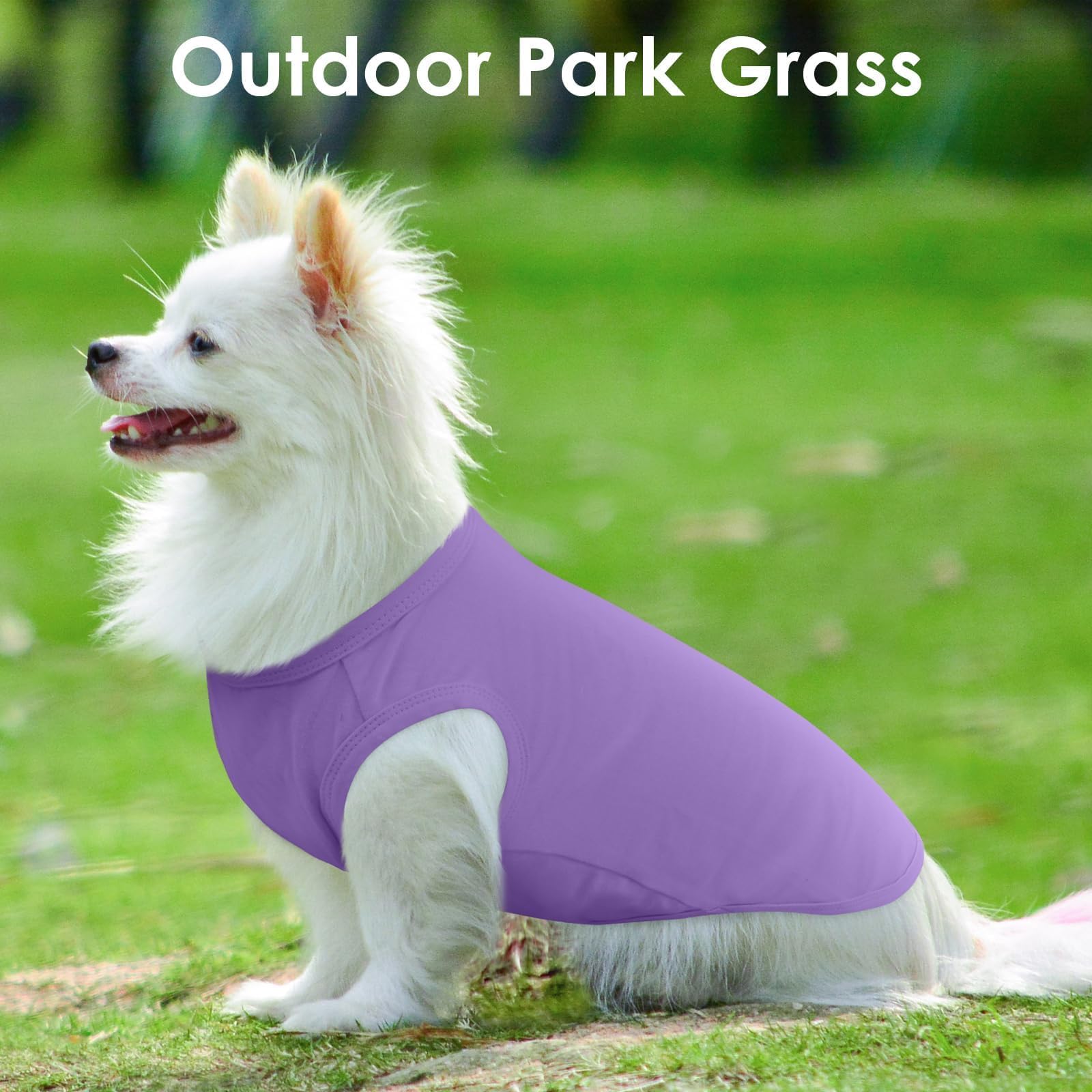 Paquete de 3 camisetas M a rayas moradas para perros pequeños, camiseta mediana sin mangas para clima lluvioso, mantiene el calor corporal después de correr, camisa ligera de protección contra el