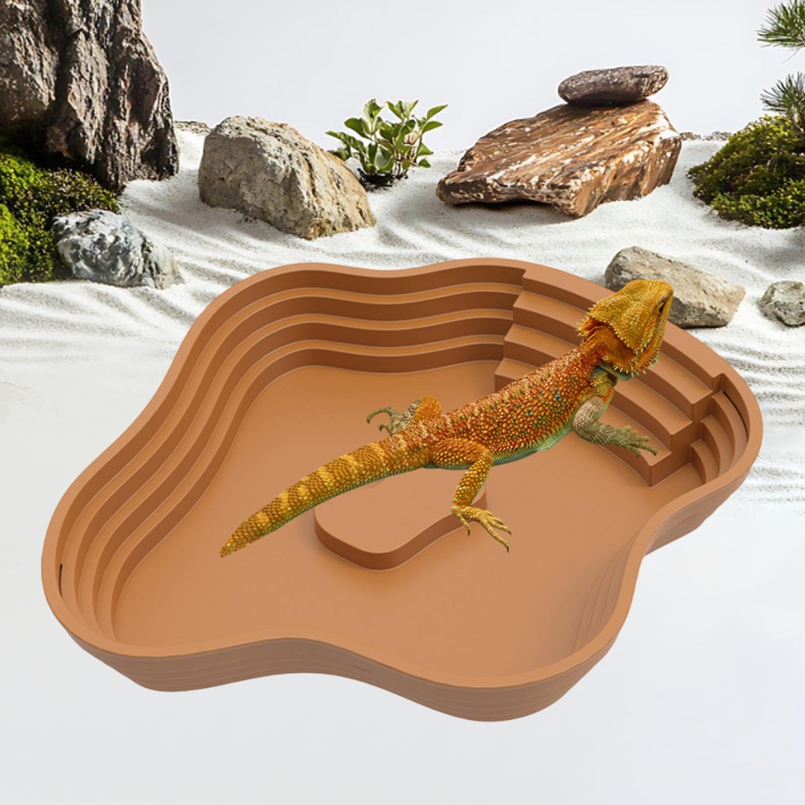 Baoblaze Reptile Bathing Pool Reptile Feeding Dish with Ramp Tortoise Feeder Lizards Habitat for Hamster Tortoise Bearded Snake, Brown L