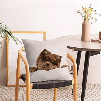 Amazon.com: Innish Lapphund Cushion Cover Case with Zipper