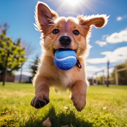 Miniatura 6 de Juego de 12/18 pelotas de tenis para entrenamiento, juego para perros y práctica con bolsa de malla para transporte y entrenamiento para Azul