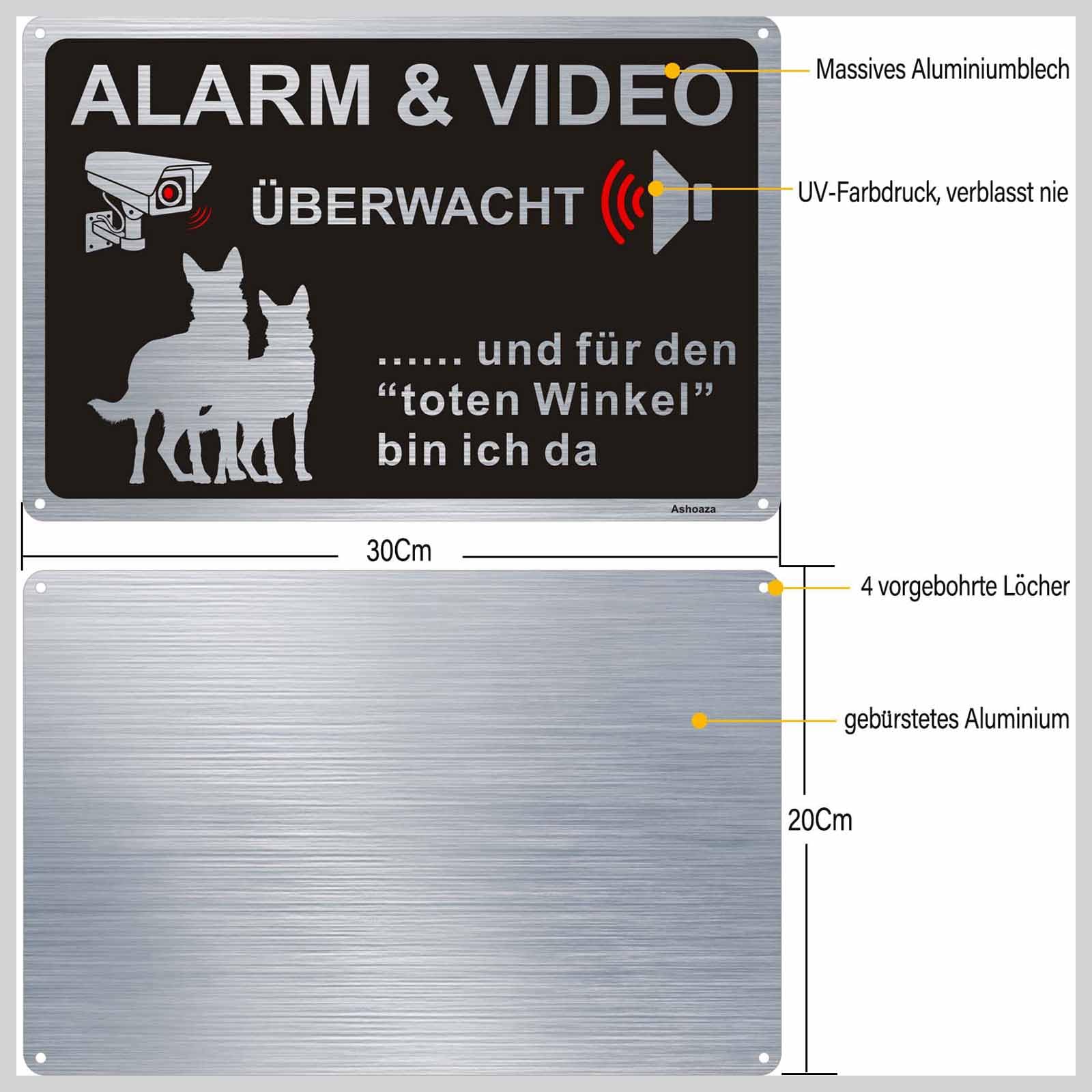 Schild Alarmgesichert + Videoüberwacht - Die Geschäftsleitung