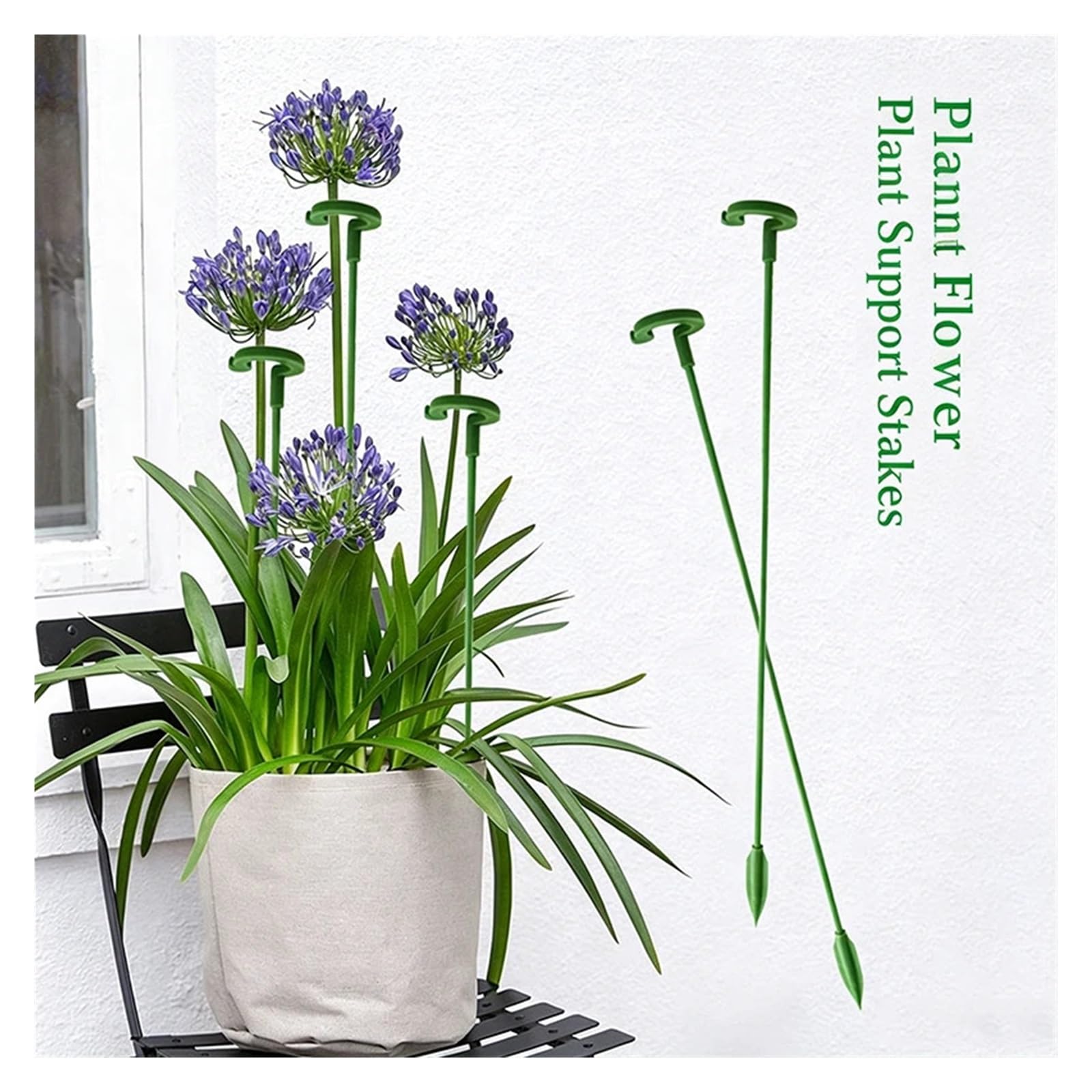 Tuteurs pour Plantes Cadre Fixe for Plantes