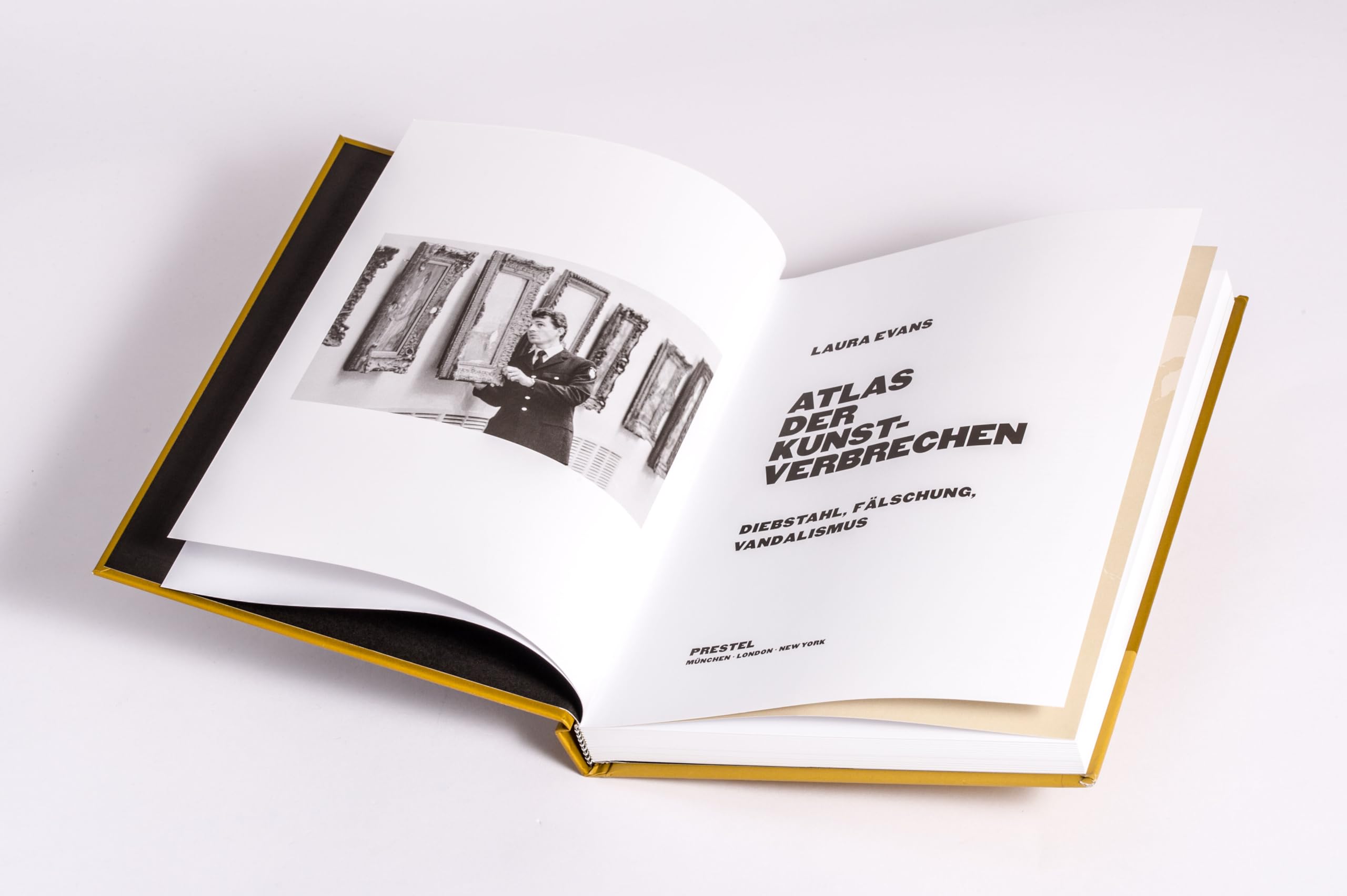 Atlas der Kunstverbrechen: Diebstahl, Vandalismus, Fälschung - 75 Coups aus der ganzen Welt in spannenden Texten und faszinierenden Bildern