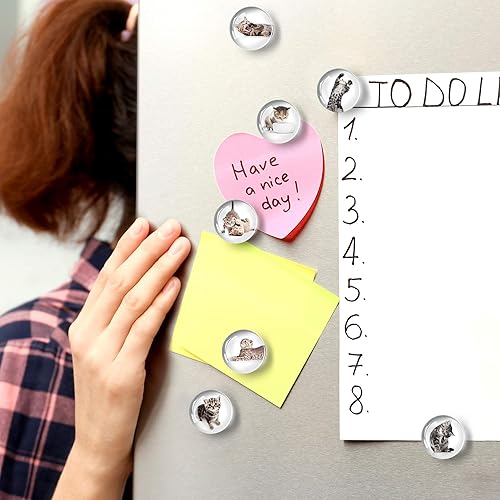 Miniatura 8 de Imanes decorativos para nevera  Imanes de vidrio para refrigerador  Bonitos imanes de nevera para oficina y cocina  Imanes de pizarra blanca
