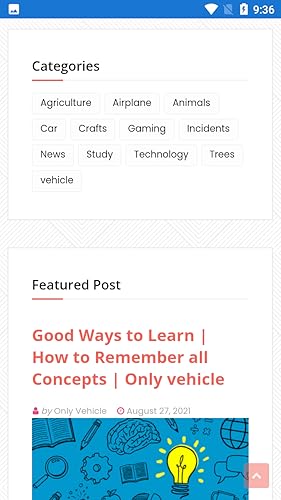 Only Vehicle (Cars, Airplanes, Bikes)