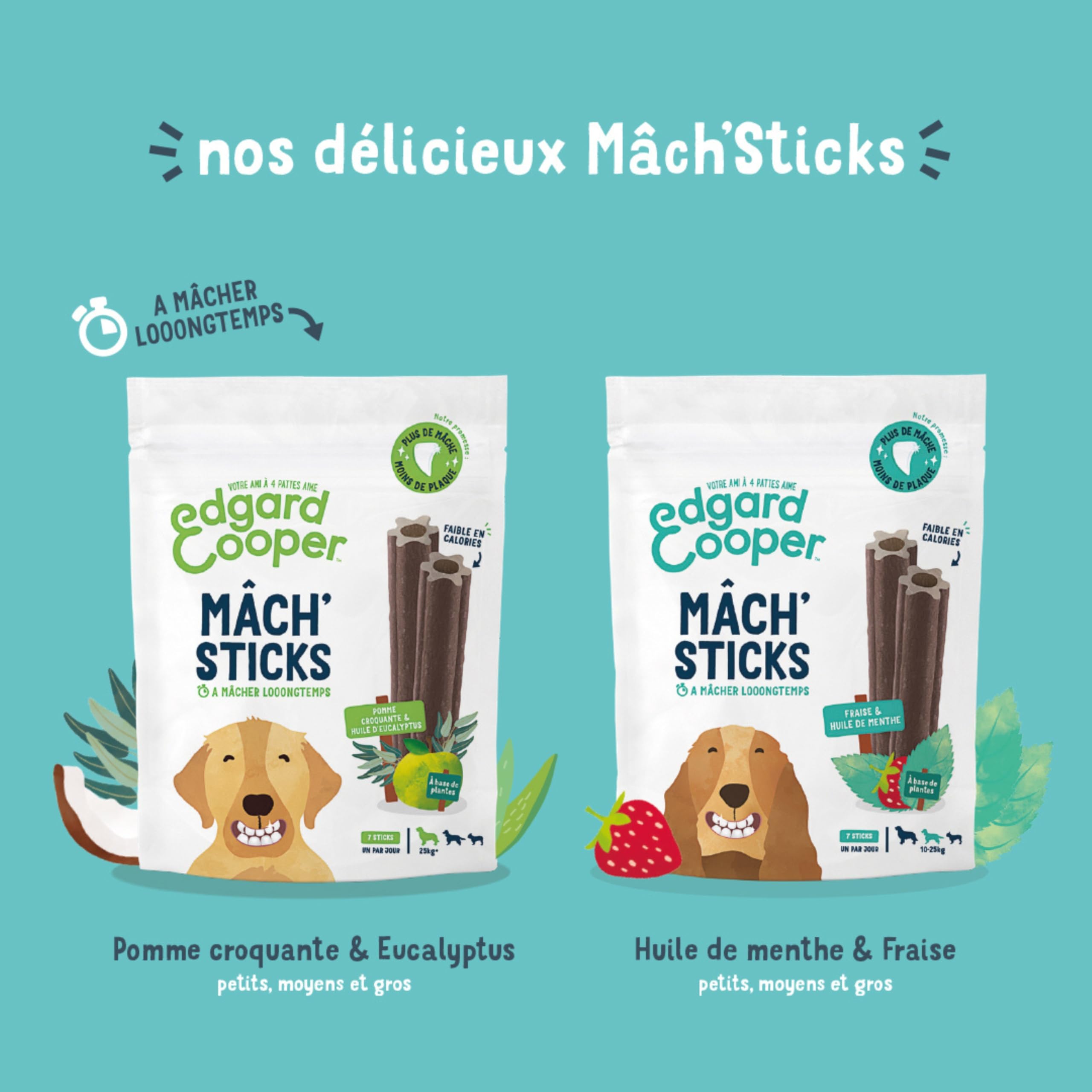 Edgard Cooper Friandises Pour Chien, (Eucalyptus & Pomme, 7 bâtons x 8), Moyen, Un par Jour, Faible en Calorie, Mastication Longue Efficace, Haleine Fraîche
