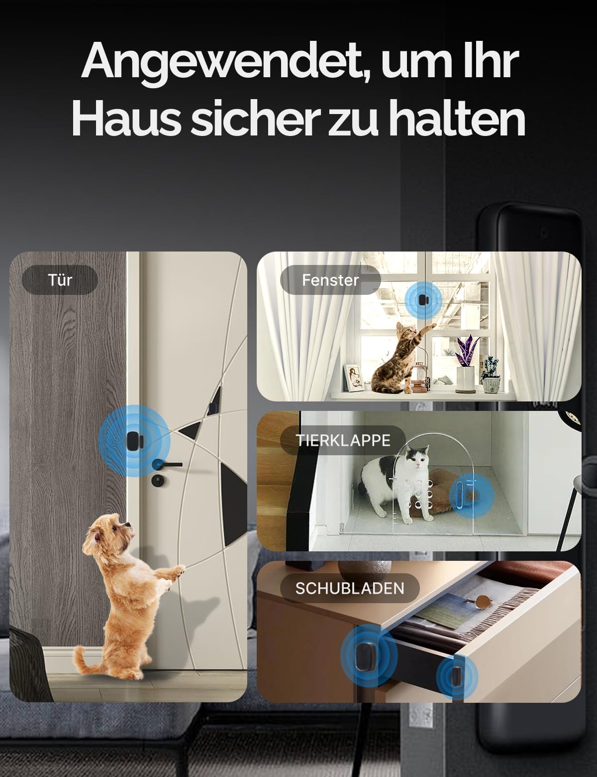 MOES Smart Tür - und Fenstersensor,MOES/Tuya ZigBee Hub erforderlich,Drahtloser Detektor für Alarmanlage, Smart Life/Tuya App,Kompatibel mit Tuya-Geräte, Alexa,und Google Assistant,Schwarz 3P