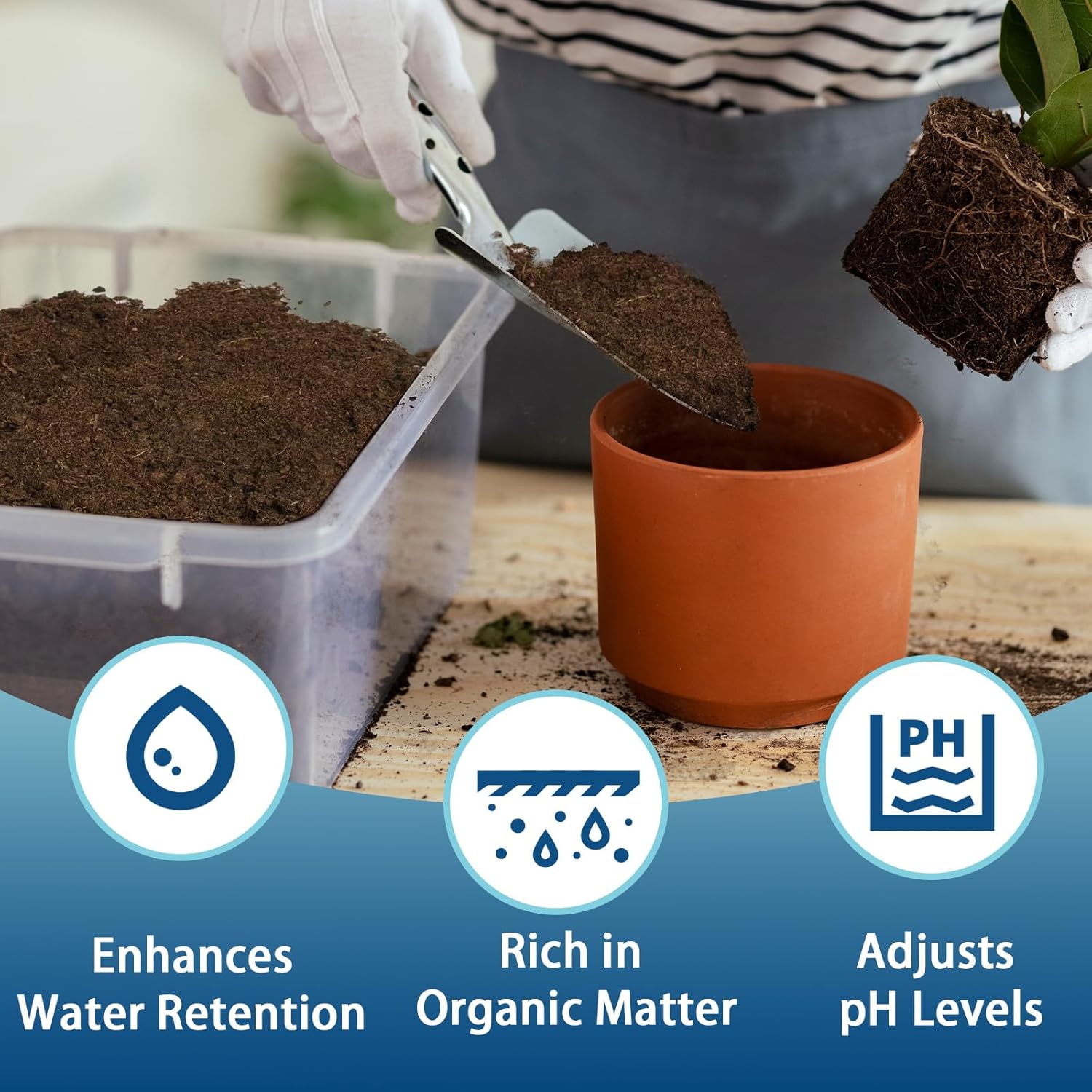 Doter Sphagnum Peat Moss for Plants 10qt, Organic Garden Growing Soil Amendment and Media for Flowers, Vegetables, Herbs, Orchid, Indoor Houseplant