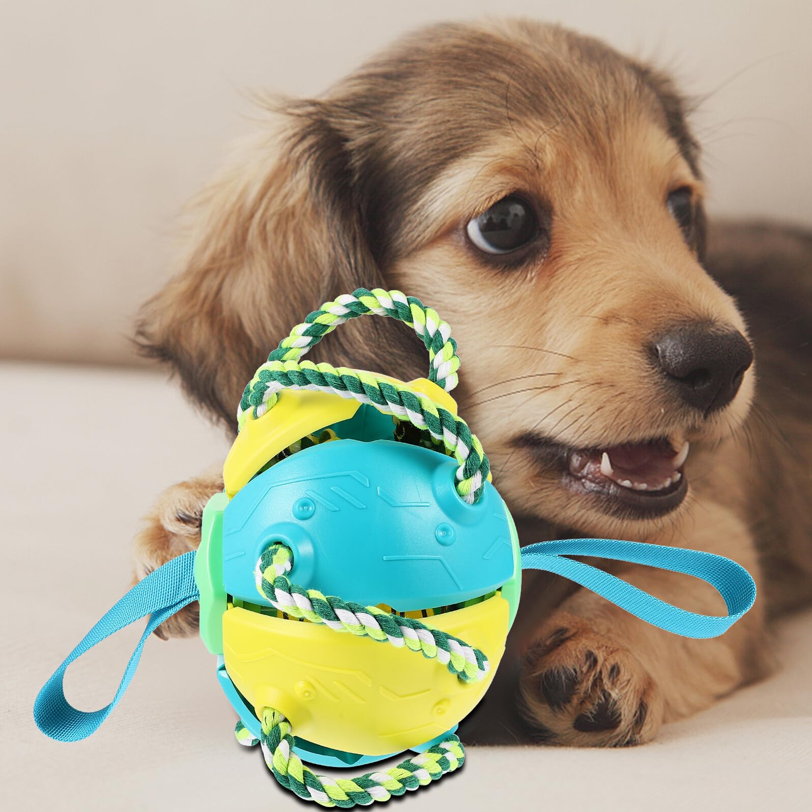 Toyvian Hundespielzeug Interaktiver Kauspielzeug Welpen Outdoor Wurfball Robust Leicht Verbessert Jagdinstinkt Fördert Gesundheit Spaßig für Kleine und Mittlere Hunde Gelb blau