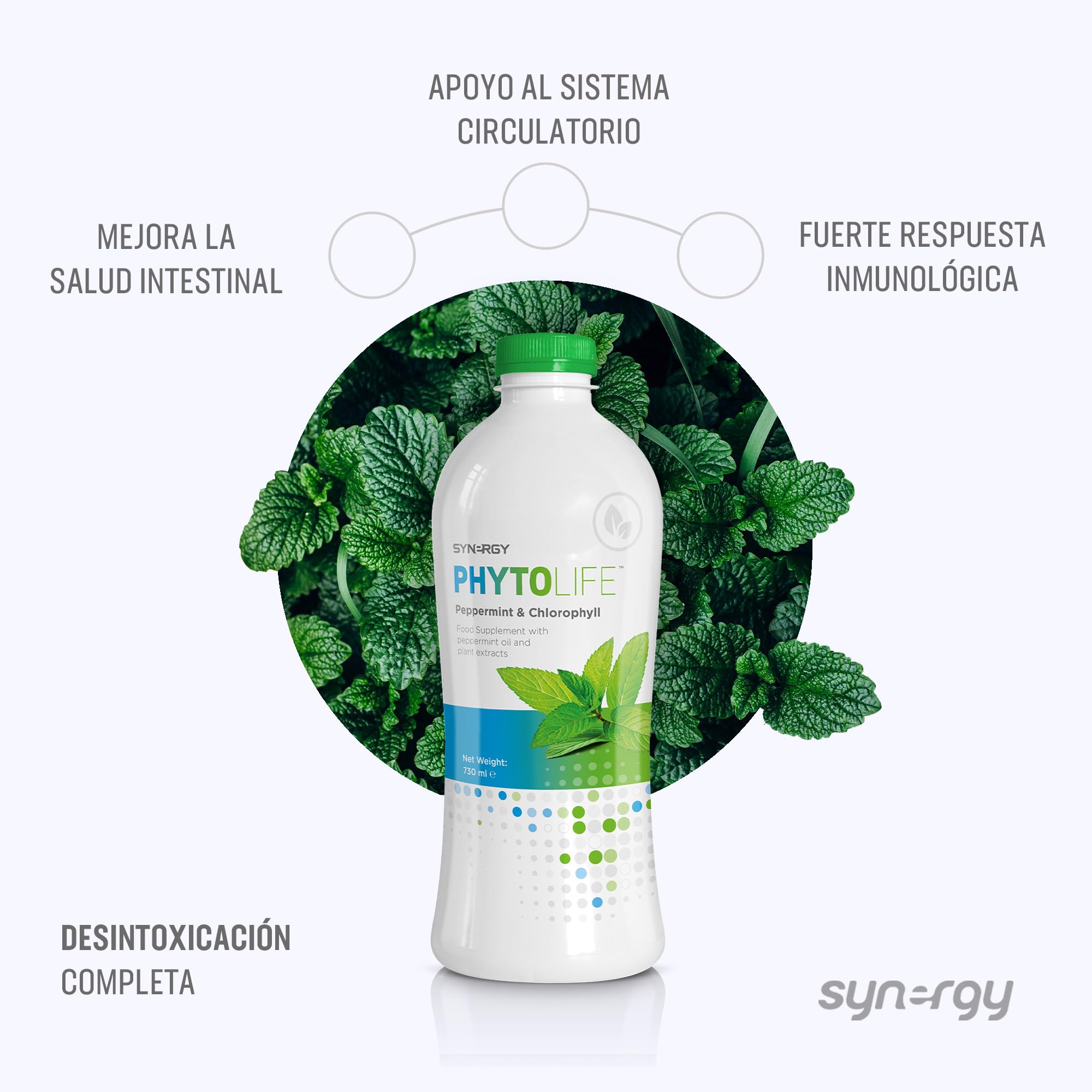 Synergy Worldwide Phytolife 730ml | Complemento Alimenticio Líquido de Clorofila, Aceite de Menta y Extractos de Plantas | Favorece la Salud Digestiva e Intestinal | 48 porciones