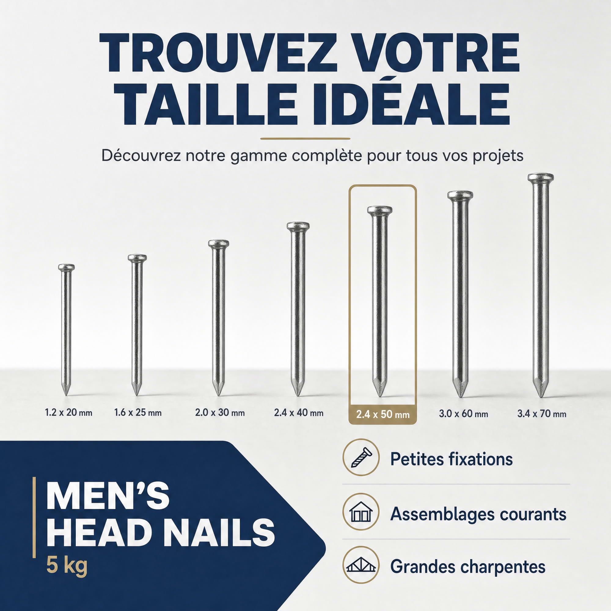 Pointes/clous tête homme - 5kg - 2,7x60