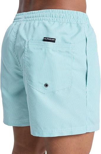 Quiksilver Everyday Deluxe Volley 15sörf şortuErkek