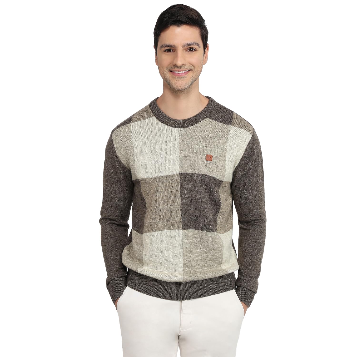 colorplus Men Regular Fit Jacquard Pattern Pure Acrylic Full Sleeve V Neck Casual Sweater Brown-picture-29