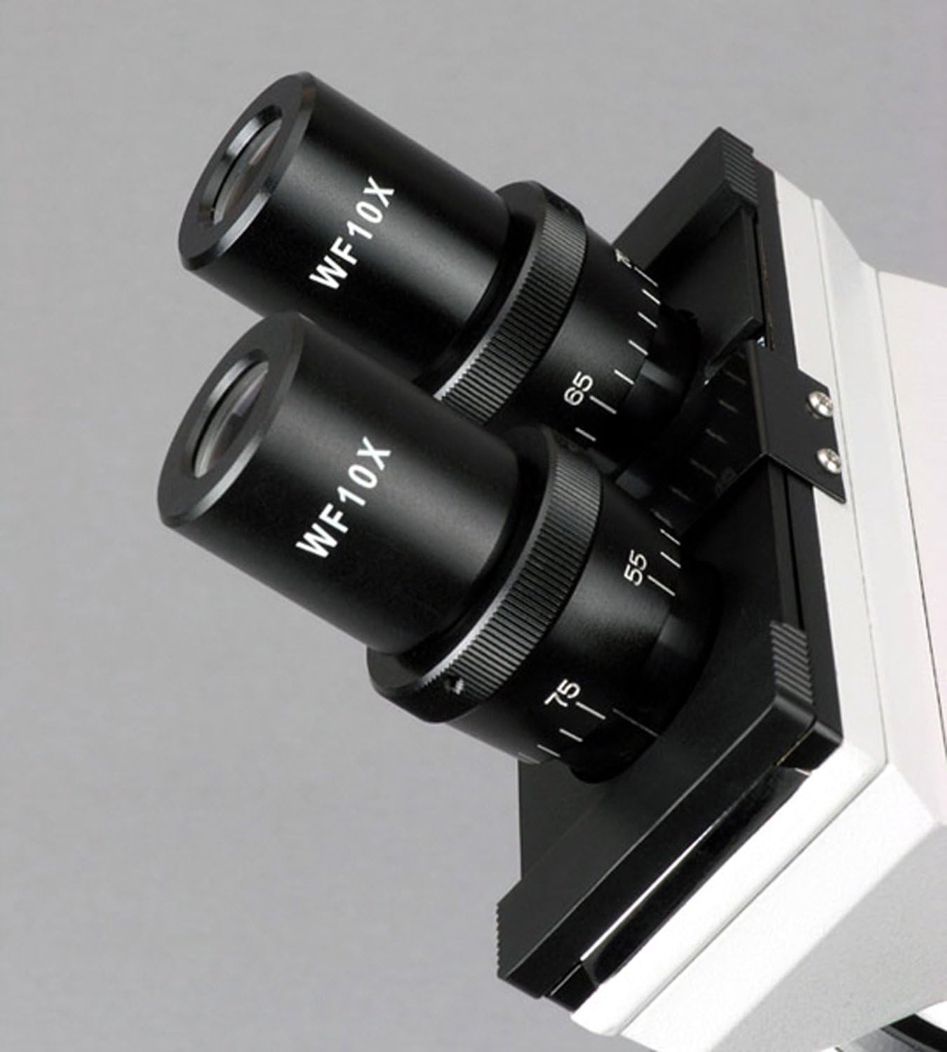Flash Sale Buy 1 get 1 AmScope B100B Compound Binocular Microscope, 40X-2000X Magnification, Brightfield, Tungsten Illumination, Abbe Condenser, Plain Stage
