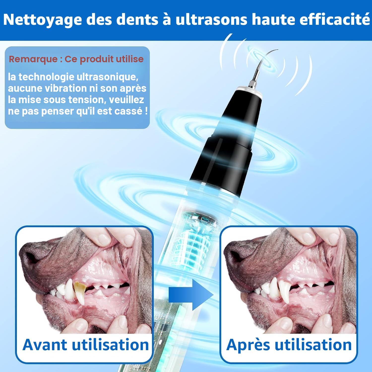 Ni-SHEN Kit d'enlèvement de plaque dentaire, de nettoyage des dents à ultrasons pour animaux domestiques, de tartre et de taches, convient pour chiens et chats (Noir)