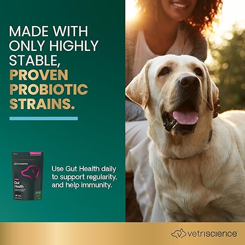 Miniatura 3 de VetriScience Gut Health Chews, suplemento digestivo diario probiótico para perros, apoyo a la digestión, gases y diarrea, apoyo inmunológico, 1 mil