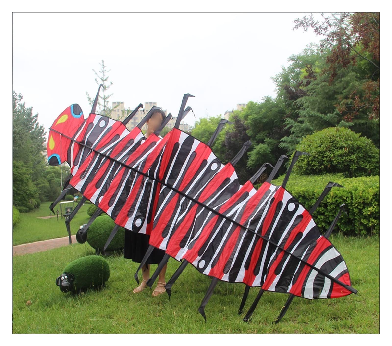 kite Kite 3.2m Dynamic kite