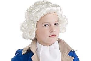 Child's Beethoven Wig