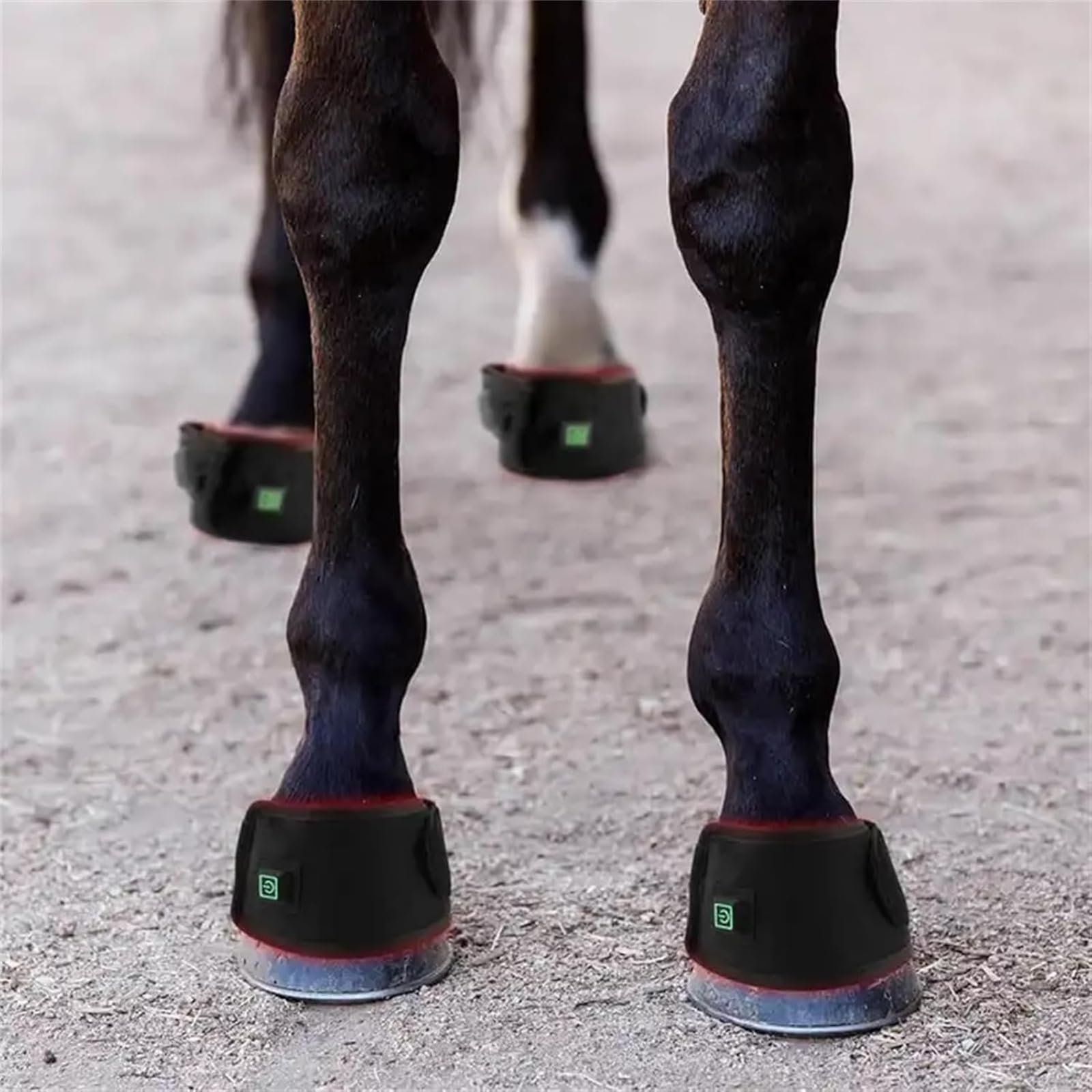 Dispositivo portatile luce rossa LED per terapia dello zoccolo cavallo