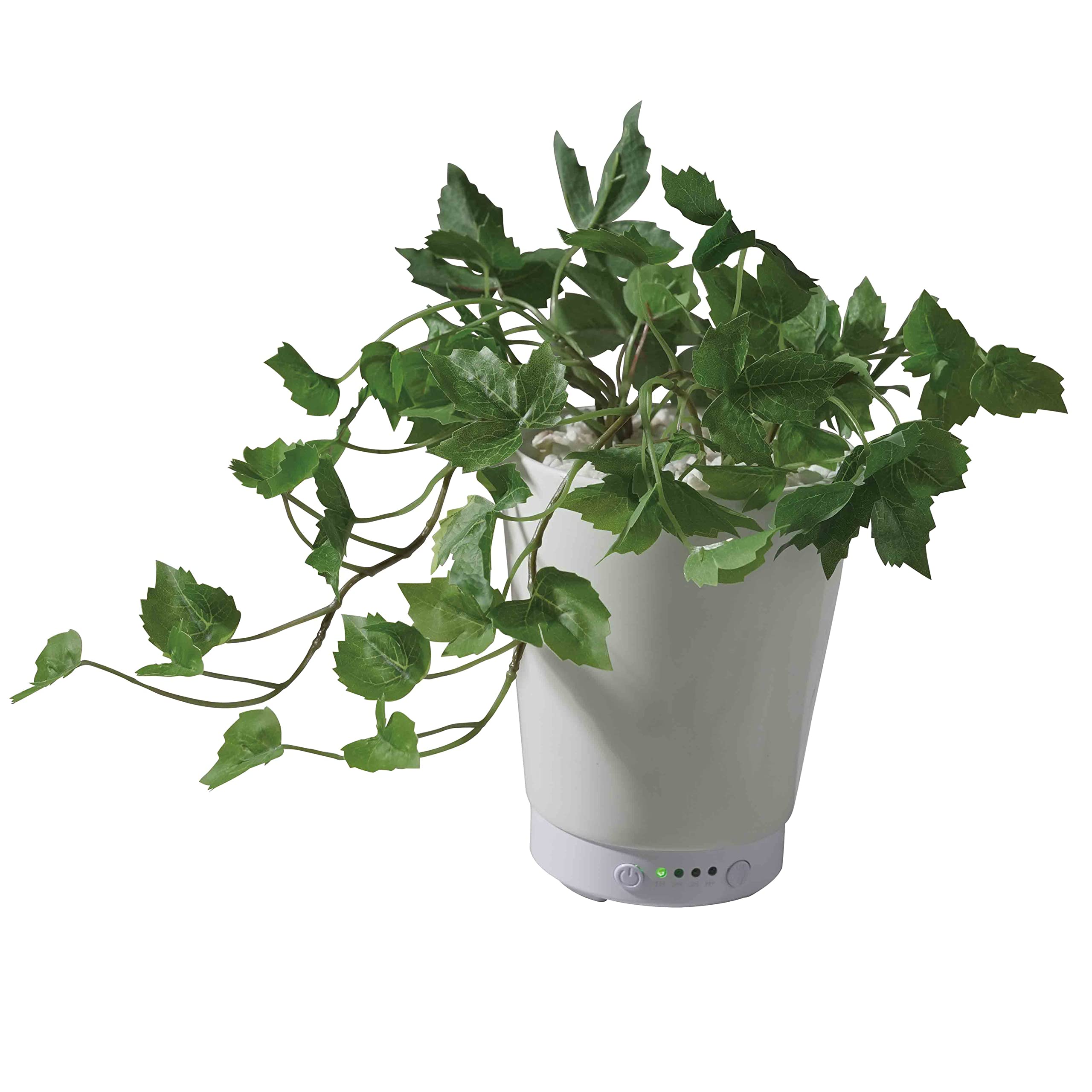 Amazon｜LITHON ライソン グリーンアロマミスト メープルアイビー