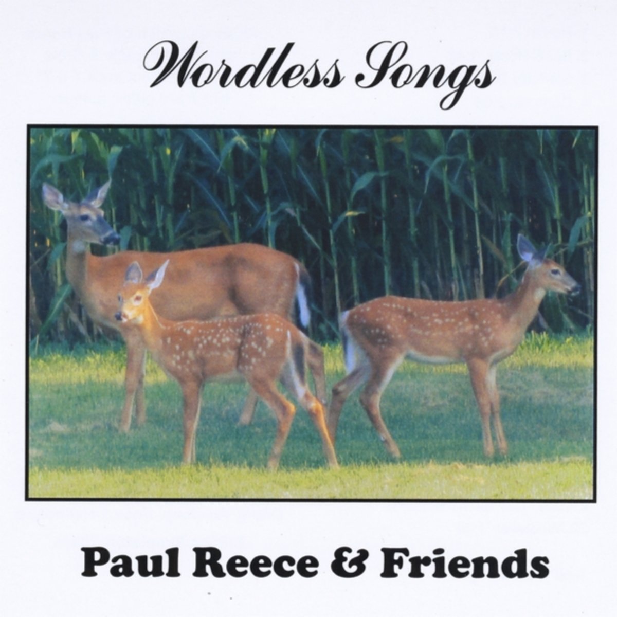 Starlett's Dance (feat. Brad Williams)