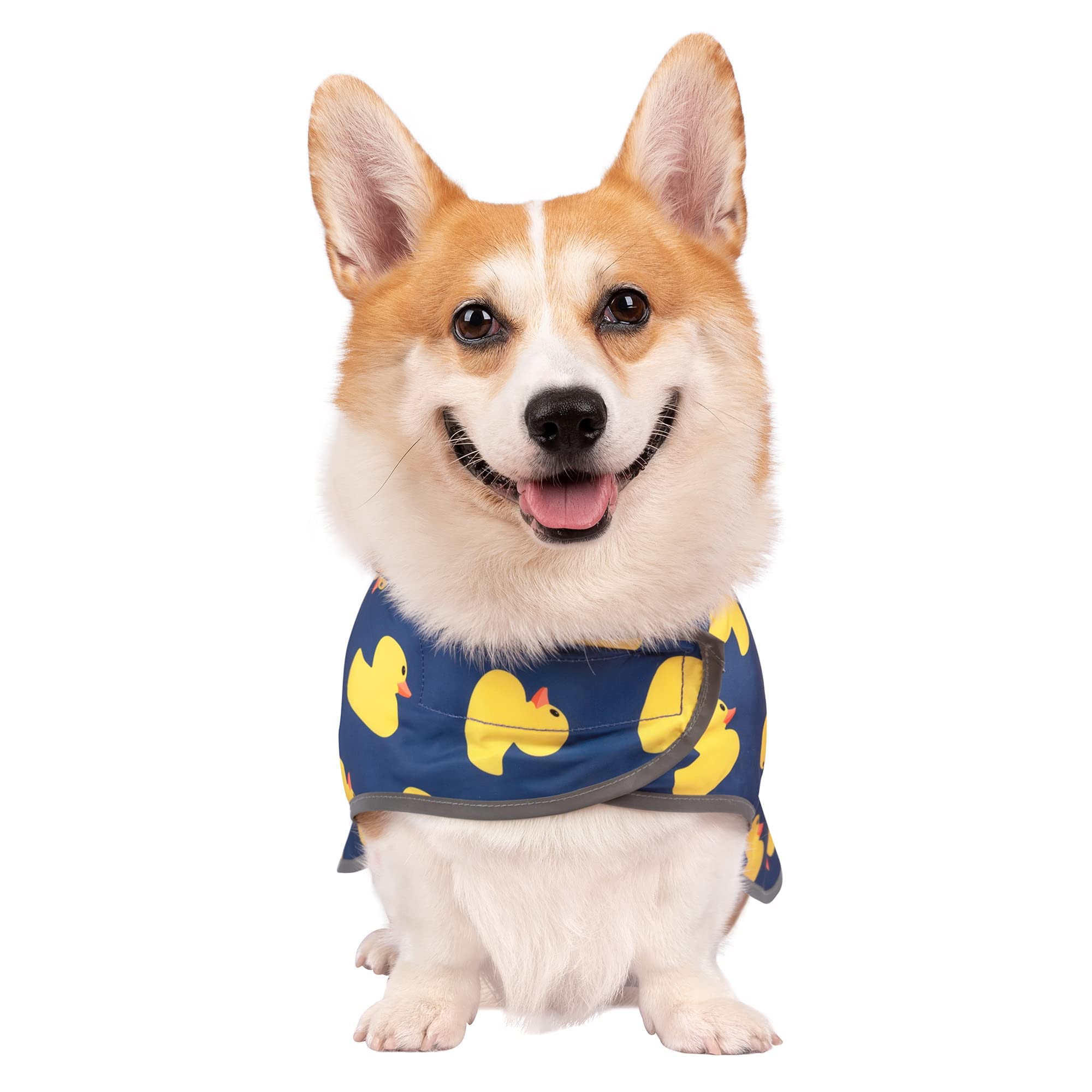 Chubasquero para Perro con Capucha, Chaqueta Impermeable con Capucha para Perro Mono para Cachorros Poncho de Lluvia con Orificio para Correa (Blue Duck XS)