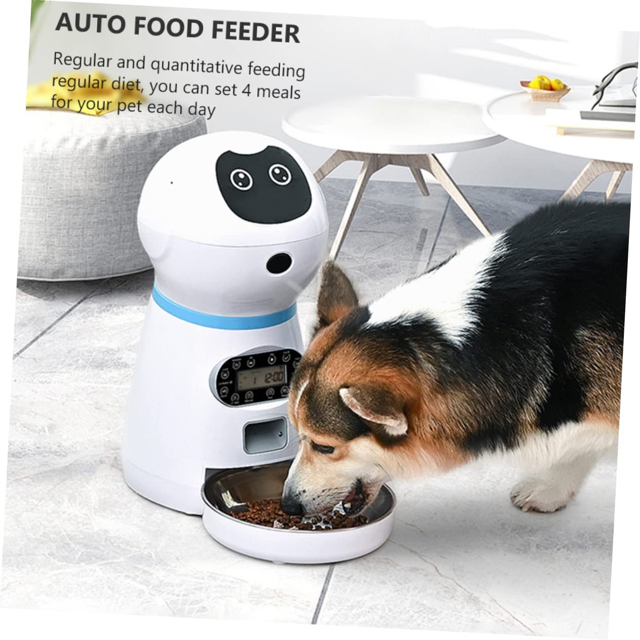 Distributore Automatico Cibo Per Gatti e Cani in Alimentazione Programmabile Con Timer Digitale e Registratore Vocale Usb Pet Feeding Dispenser Intelligente